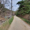 팔공산왕건길 1코스 이미지