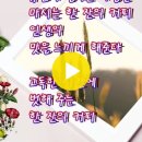 가을밤의 커피 - 용혜원 이미지