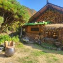 선류산장 이미지