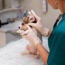 문원동공원마을회관 이미지