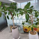 세이세무회계
