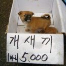 320004 이미지