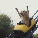 개그투어 | KBS개그콘서트 방청!!🎤 동생이랑 개콘 다녀온 썰 💛 (방청 당첨 후기)KBS 다녀 왔당