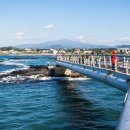 푸른신창 이미지