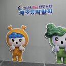 해조 | 2026 Pre 완도국제해조류박람회 개막 첫날 방문후기