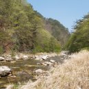 내리계곡로 이미지