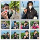 대오농장 이미지