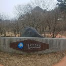 경기도산림환경연구소(금암동 산91) | 오산 물향기수목원 에서 노란복수초꽃 만나고 왔어요