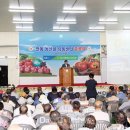 남일로(남후면) 이미지