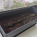 25년 5월 마무리: 간만의 외출