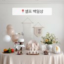 소나무 | 백일상 셀프상 후기 | 소나무 컨셉 가온 대여