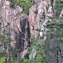 돼지도둑 - 안양시 만안구 박달로 460 | 돼지도둑