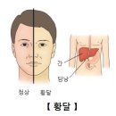 낭 - 제주시 우령2길 52 | 낭