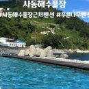 울릉푸른나무 이미지