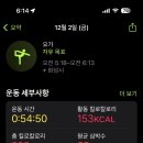 세영아쉬탕가요가 이미지