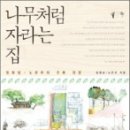 생각이 자라는 나무 이미지