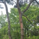 성남2길 이미지