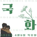 (주)탱고플러스 이미지