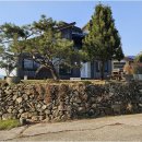 초이지아 이미지