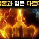 혼과 영의 차이, 종교가 말하지 않은 핵심 이미지