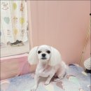 러블리멍 이미지