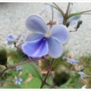 한농한의원 이미지