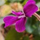 원트 청주 상당 이미지