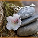 소통보청기 이미지