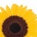 동덕여자대학교 비만미용향장대학원 이미지