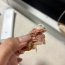 세븐일레븐 원주한신3차점 | [10월] 힐링이 필요한 10월, 아직 불고기는 끝나지 않았다.