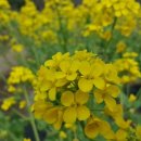 사랑펜션 이미지