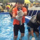 양평 드림캠핑장 이미지