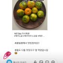 🍊 정말 맛있는 제주고당도하우스귤 싸게 구매하세요!!^^ 제주직배송!^^ 🍊 (후기첨부!) 이미지