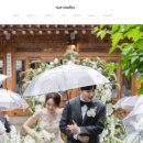 오키드스튜디오 이미지