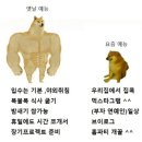 옛날 근본 예능 vs 요즘 예능 비교 이미지