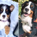 센텀장례식장 이미지