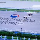 강운축산 네이버블로그