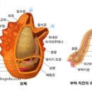 움직임퍼스널트레이닝 이미지
