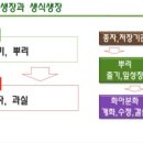 가성 이미지