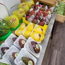 CU마산마린애시앙2호점 | 마산태추단감 과일애 마산과일배달 맛있는과일 과일도시락 과일택배배송 창원과일