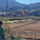 북천꽃단지 이미지