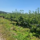 큰에덴농장 이미지