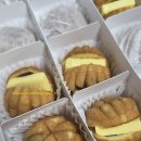 코코호도 티스토리