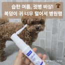 이조약국 - 순천시 서문성터길 1 | 강아지 귀 털기, 깨끗해도 귓병? 여름철 병원 방문기