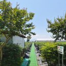 기쁨농장 | [부산] 아이와 함께, 두루팜 농장 다녀온 후기｜블루베리 수확부터 타르트,팥빙수 체험까지(feat.예약창)