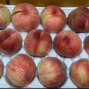 홍백농장 이미지