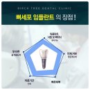 나무가있는치과의원 이미지