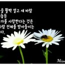 하얀피부사랑 이미지