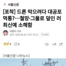 드론 막으려다 대공포 먹통?...철망•그물로 덮인 러 최신예 소해함 이미지