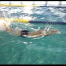 체고 수영장 수영강습 동영상 -기초반(2조, 3조) = 자유형발차기 이미지